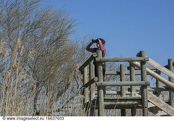 L?a  8 years old  observing the birds in the Ornithological Park of the Pont de Gau  (MUST BE MENTION)  Saintes-maries-de-la-mer  Camargue France