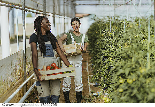 Lächelnde Bäuerinnen  die Gemüsekisten halten  während sie auf einem Bio-Bauernhof stehen