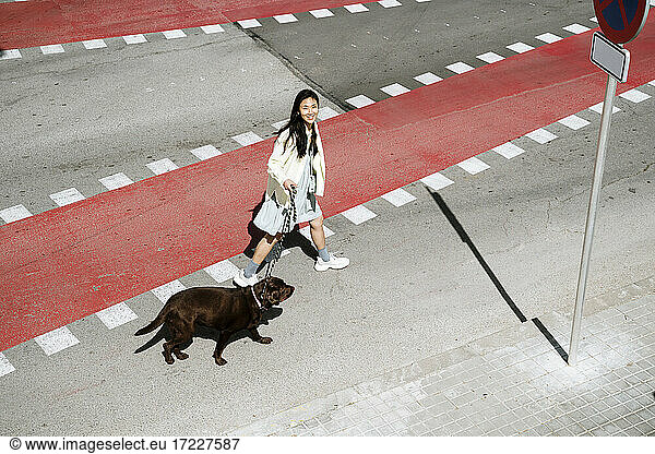 Lächelnde Frau beim Überqueren der Straße mit Labrador-Hund auf der Straße