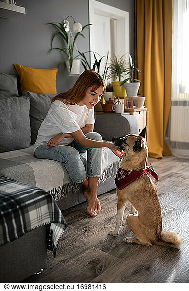 Lächelnde Frau kratzt Hund zu Hause