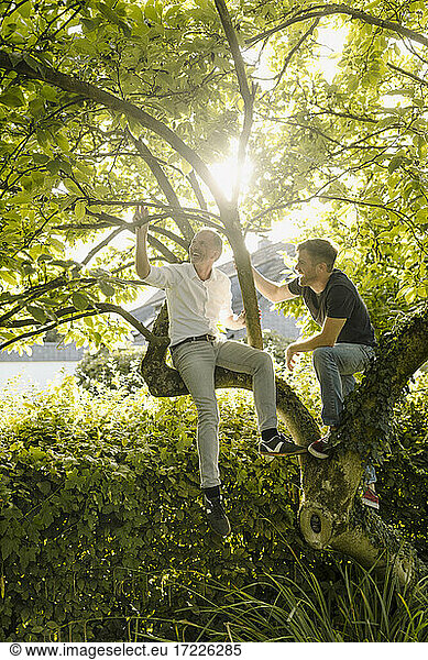 Lächelnder reifer Mann  der einen Zweig hält und neben seinem Sohn auf einem Baum sitzt