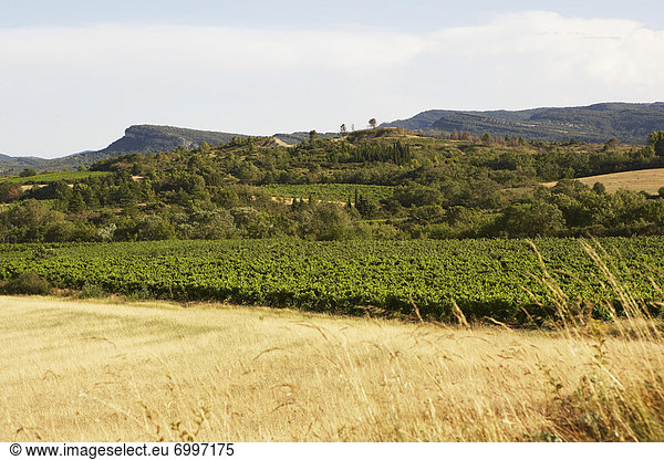 Ländliches Motiv  ländliche Motive  Frankreich  Aude  Languedoc-Roussillon