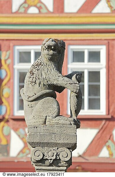 Löwenfigur vom Marktplatz  Fachwerkhaus  Unschärfe  Herborn  Hessen  Deutschland  Europa