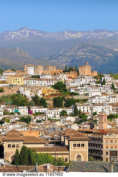 La Alhambra. Granada. Andalusia. Spain