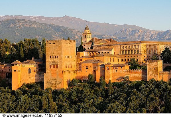 La Alhambra. Granada. Andalusia. Spain