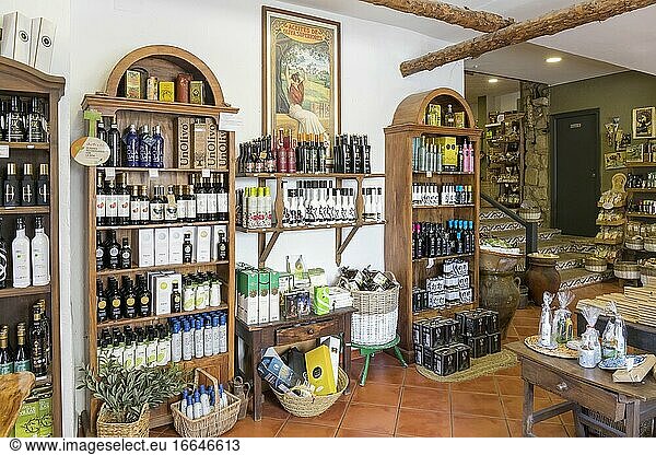 La Casa del Aceite  Baeza  Provinz Jaen  Andalusien  Spanien. Das Geschäft verkauft  wie mehrere andere in der Stadt  andalusische Produkte  wobei der Schwerpunkt auf hochwertigen Olivenölen liegt. Baeza ist Teil des UNESCO-Weltkulturerbes  das die Renaissance-Monumentalensembles von Ubeda und Baeza umfasst.