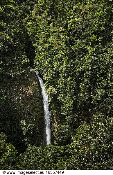 La Fortuna Wasserfall  Provinz Alajuela  Costa Rica  Mittelamerika