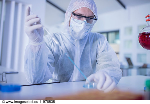 Laborantin mit langer Pipette  tropft Flüssigkeit in Petrischale