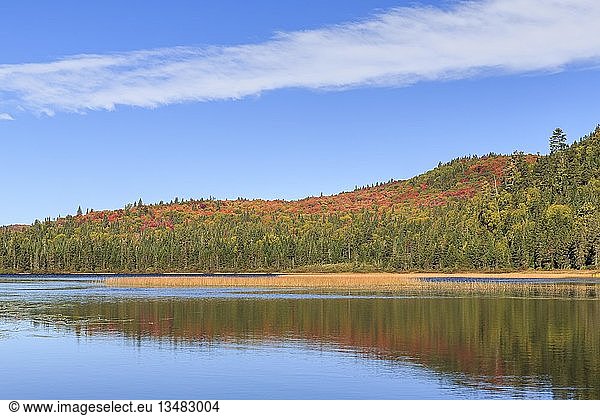 Lac aux Rats im Herbst  HerbstfÃ?rbung  Wasserspiegelung  Mont Tremblant National Park  Provinz QuÃ©bec  Kanada  Nordamerika