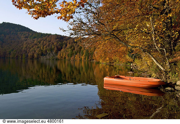 Lac Pavin See  Puy-de-DÙme  Region Auvergne  Frankreich  Europa