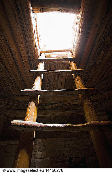 Ladder of a Native American Cliff Dwelling