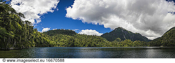 Lago del Toro amidst green Araucaria trees against mountain range