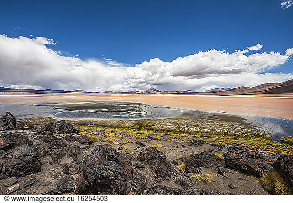 Laguna Colorada  Eduardo-Avaroa-Nationalpark; Abteilung Potosi  Bolivien