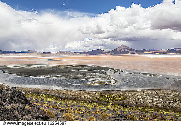 Laguna Colorada  Eduardo-Avaroa-Nationalpark; Abteilung Potosi  Bolivien