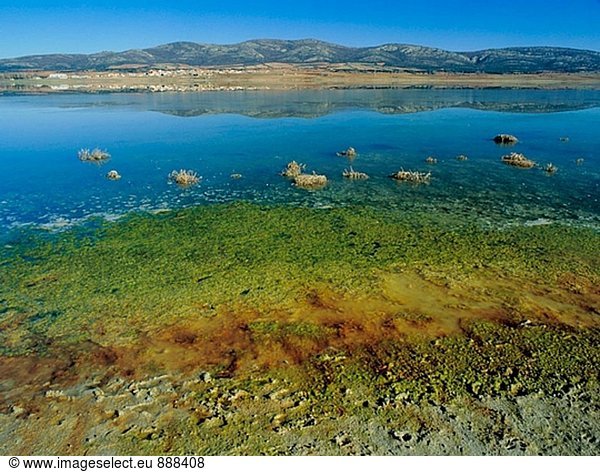 Laguna de Gallocanta. Provinz Saragossa. Spanien