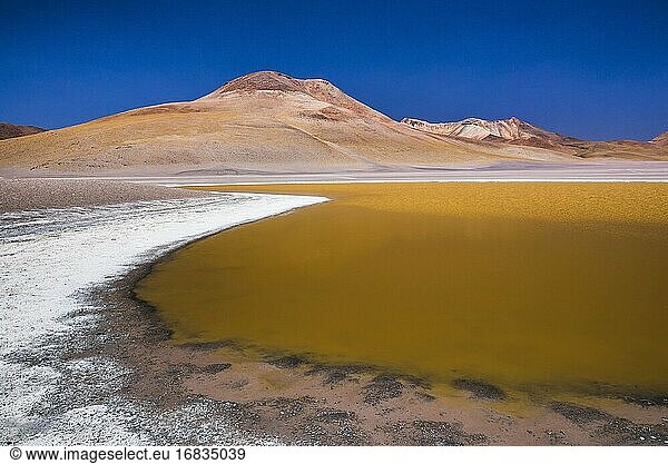 Laguna Hedionda  umgeben von Salz im Altiplano von Bolivien