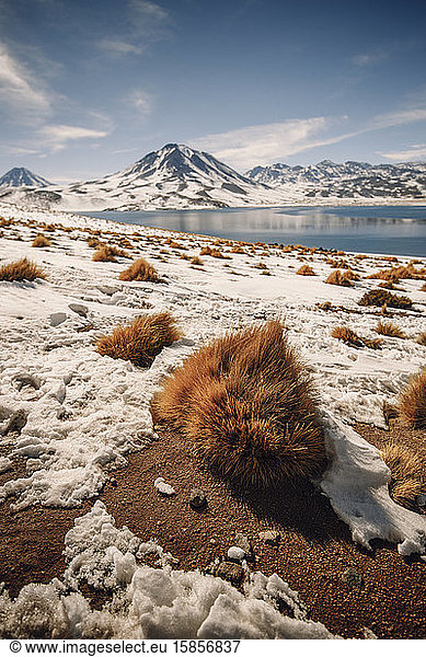 Lagunas altiplanicas Umwelt in der Atacama-Wüste