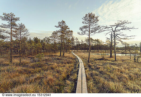 Lahemaa-Nationalpark im Herbst  Estland