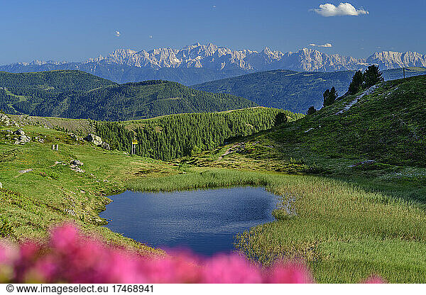 Lake amidst grass at Julian Alps  Carinthia  Austria