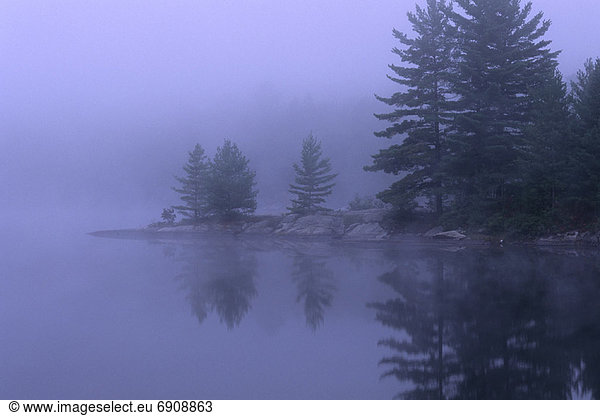 Lake and Trees with Reflections And Fog  Haliburton  Ontario  Canada