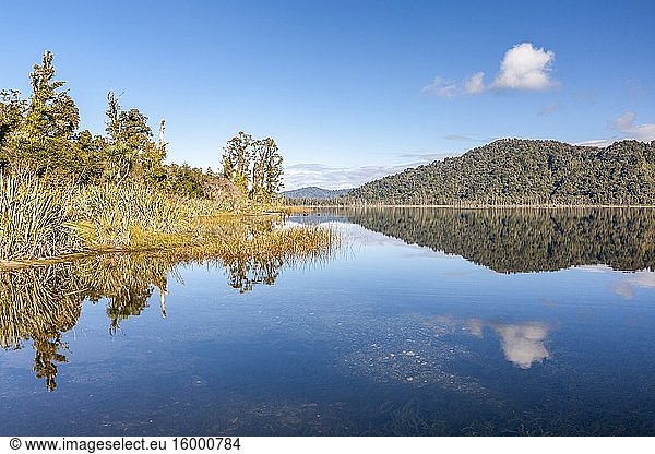 Lake Ianthe Matahi near Pukekura  South Island  New Zealand.