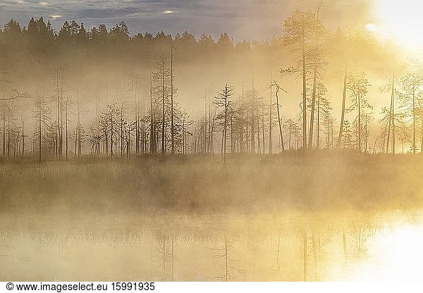 Lake in Varitus  Lentiira  Finland.