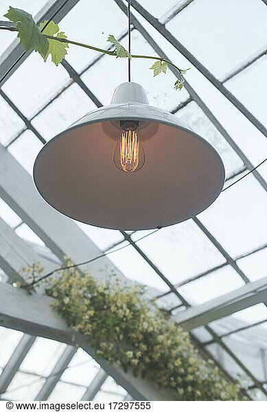 lamp in greenhouse