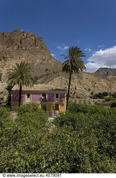 Landhaus mit Palmen im Tal von Ricote,  Region Murcia,  Spanien,  Europa