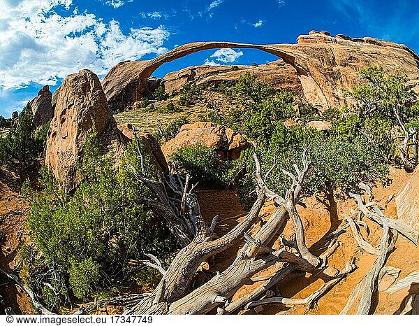 Landscape Arch  durch Erosion des roten Sandsteins geformter Steinbogen  Arches-Nationalpark  bei Moab  Utah  USA  Nordamerika