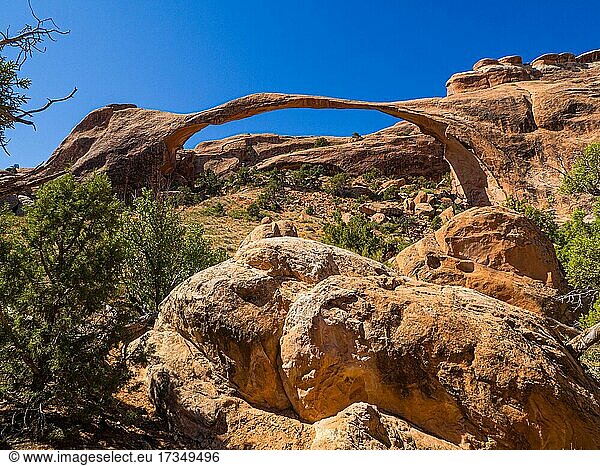 Landscape Arch  durch Erosion des roten Sandsteins geformter Steinbogen  Arches-Nationalpark  bei Moab  Utah  USA  Nordamerika