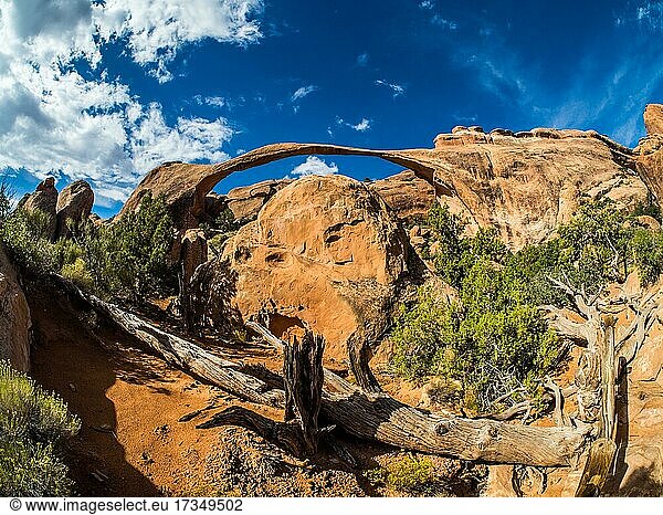 Landscape Arch  durch Erosion des roten Sandsteins geformter Steinbogen  Arches-Nationalpark  bei Moab  Utah  USA  Nordamerika