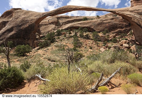 Landscape Arch im Devils Garden  Arches National Park  Utah  USA  Nordamerika