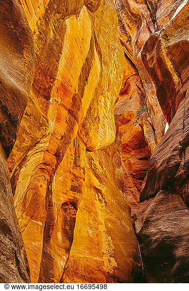 Landscape detail of slot canyons in Kanarra Falls  Utah.