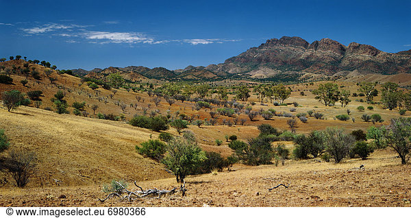 Landscape  Flinders Ranges  Wilpena Pound  Australia