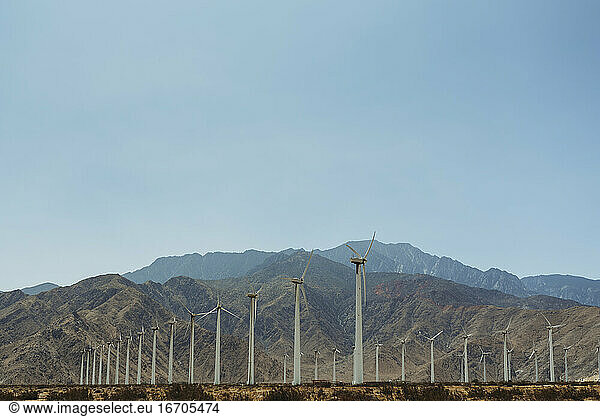 Landscape image of Palm Springs windmills landmark against blue skies