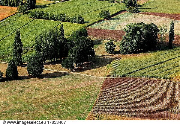 Landscape in the Dordogne Valley  near Domme  Dordogne  Aquitaine region  France  Europe