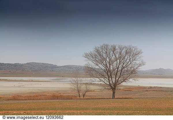 Landscape in the wildlife reserve Laguna de Gallocanta. Zaragoza. Aragon. Spain