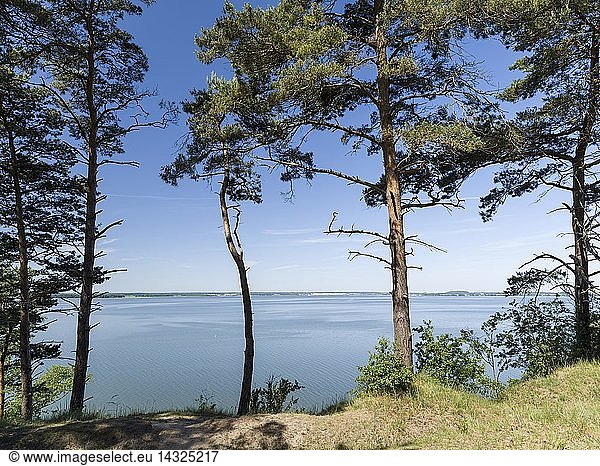 Landscape near Gnitz at the nature reserve Weisser Berg on the island Usedom. Europe Germany  Mecklenburg-Western Pomerania  Usedom  June