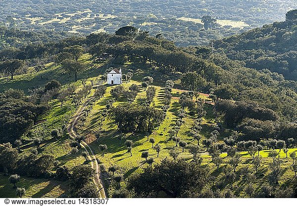 Landscape near village Evoramonte in the Alentejo. Europe  Southern Europe  Portugal  Alentejo