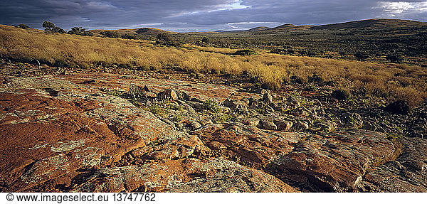 Landscape of the Gawler Ranges Gawler Ranges National Park  South Australia