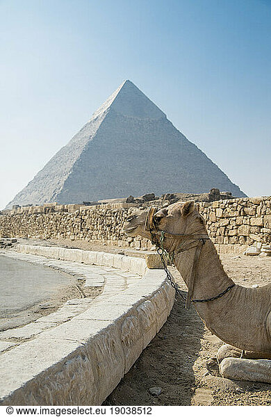 Landscape of the Giza pyramids
