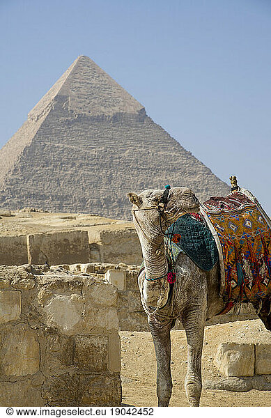 Landscape of the Giza pyramids