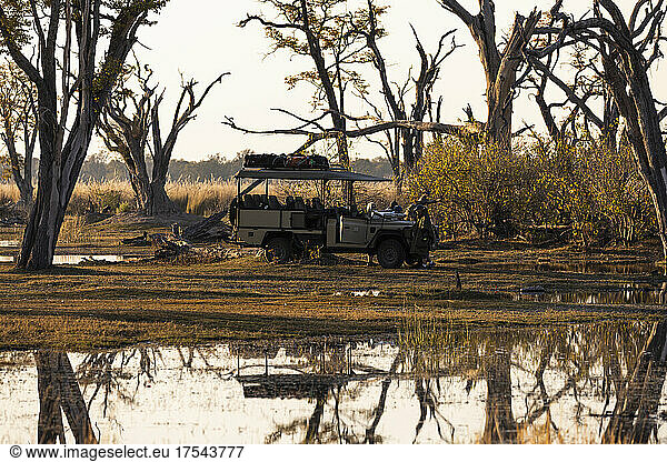 Landscape of the Okavango Delta  trees reflected in still water