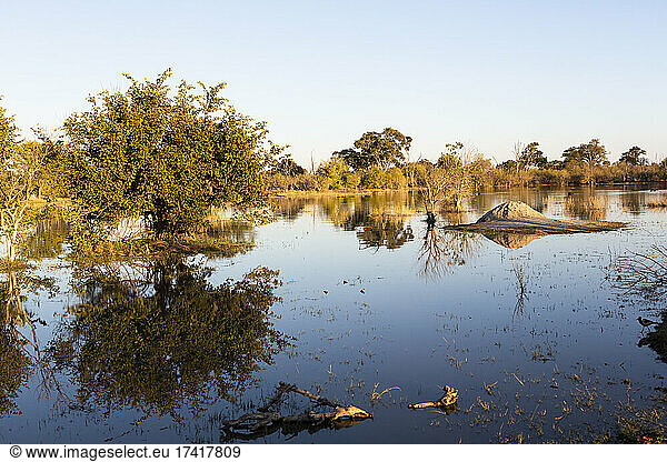 Landscape  Okavango Delta  Botswana.