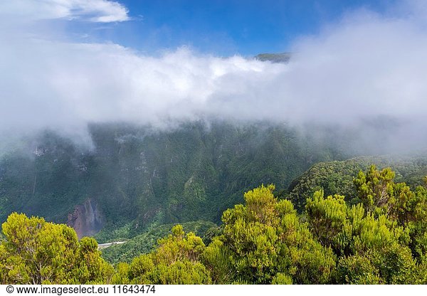 Landscape seen from Viewpoint Fanal  Boaventura  Madeira  Portugal.