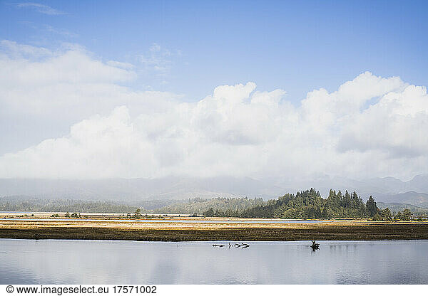 Landscape view of a river and marsh in coastal Oregon