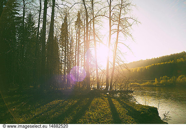 Landscape with sunlit forests on river banks