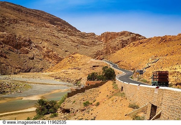 Landscape Ziz Valley  Ziz River. Tafilalet region. Morocco  Maghreb North Africa.