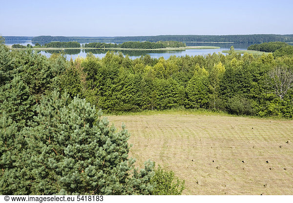 Landschaft am See Wigry  Bryzgiel  Wigierski-Nationalpark  Polen  Europa