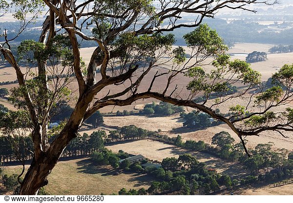 Landschaft Ansicht Erhöhte Ansicht Aufsicht Berg heben Victoria Australien